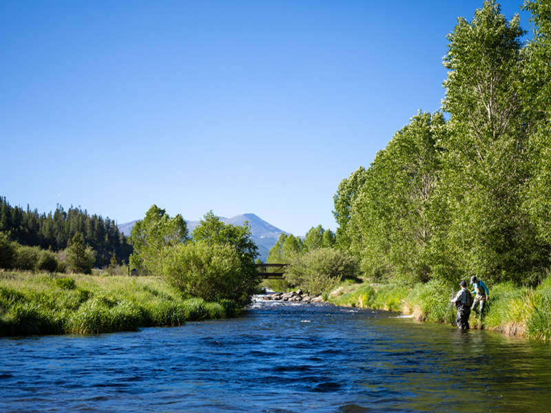 Untitled-1_0007_FlyFishing-14.jpg