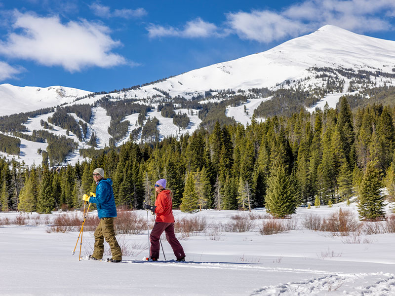 snowshoe-1